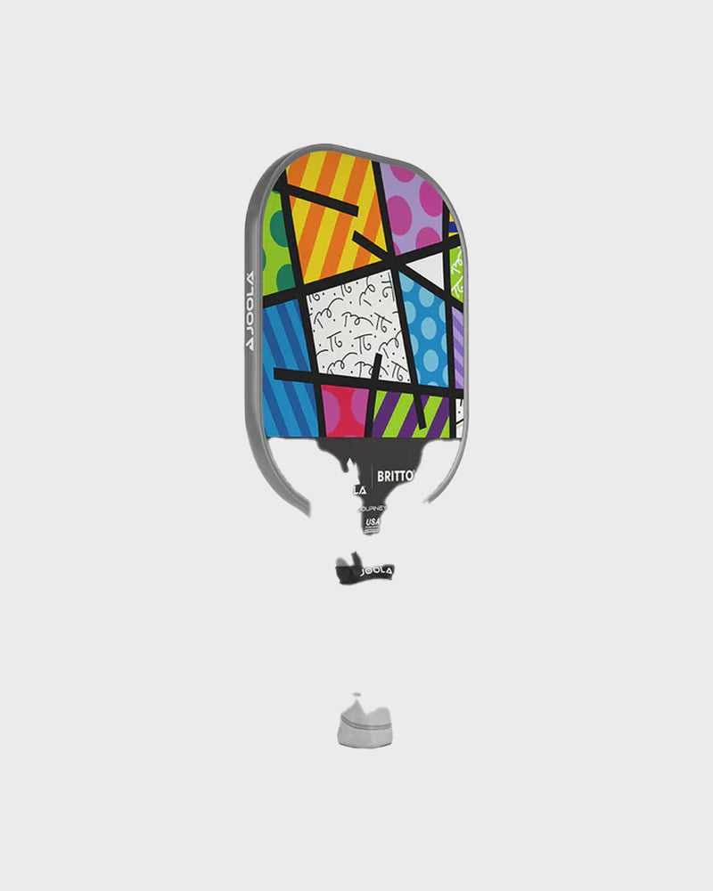 Load image into Gallery viewer, JOOLA BRITTO - Colorful Landscape
