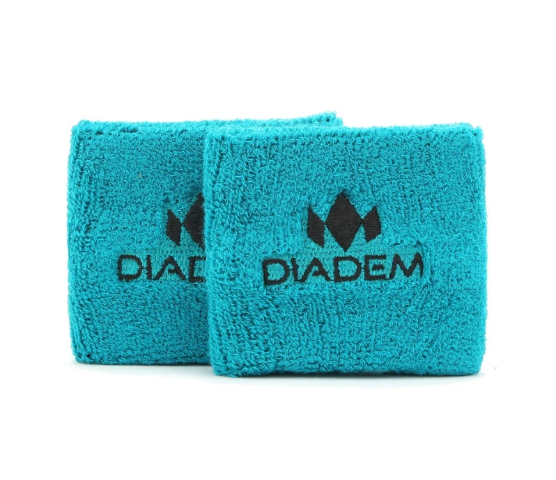 Load image into Gallery viewer, Diadem Wristband 2.75  " Sn
