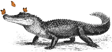 Florida Room and PATIO